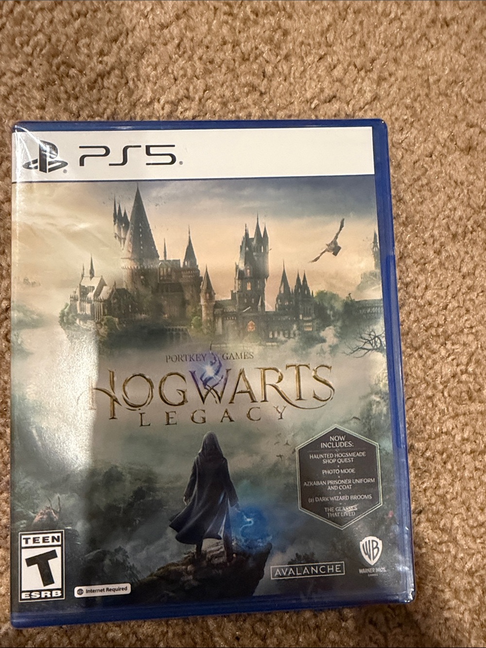 PS5 Hogwarts Legacy Game - Blue Case